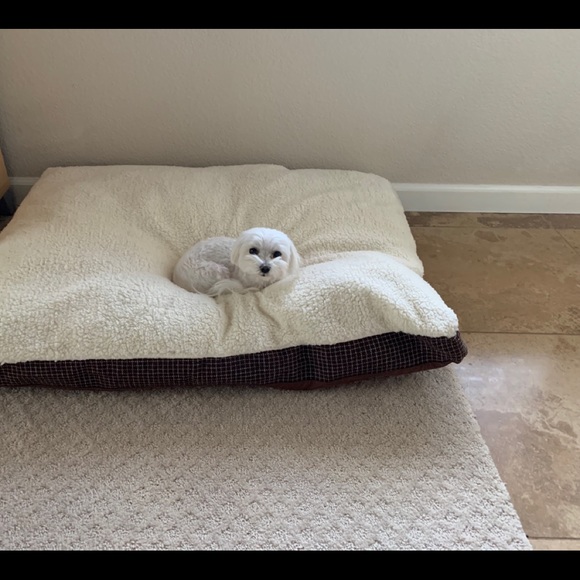 Meet your Posher, Carly ritz - Picture 3 of 7